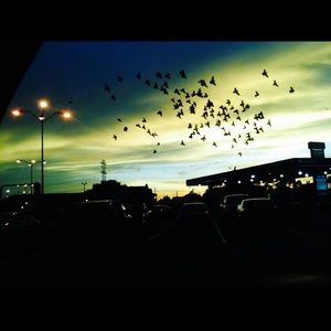 Meet your Posher, Ana